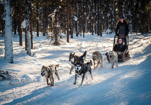 تور شفق قطبی مورمانسک
