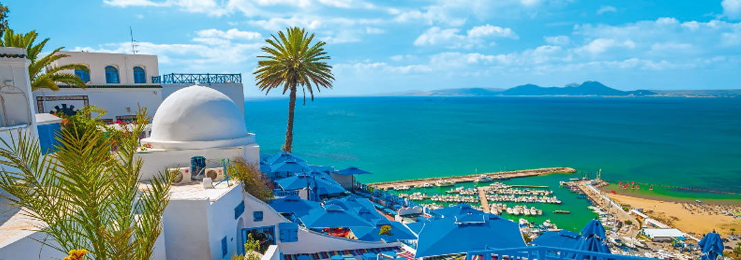 توضیحات تصویر